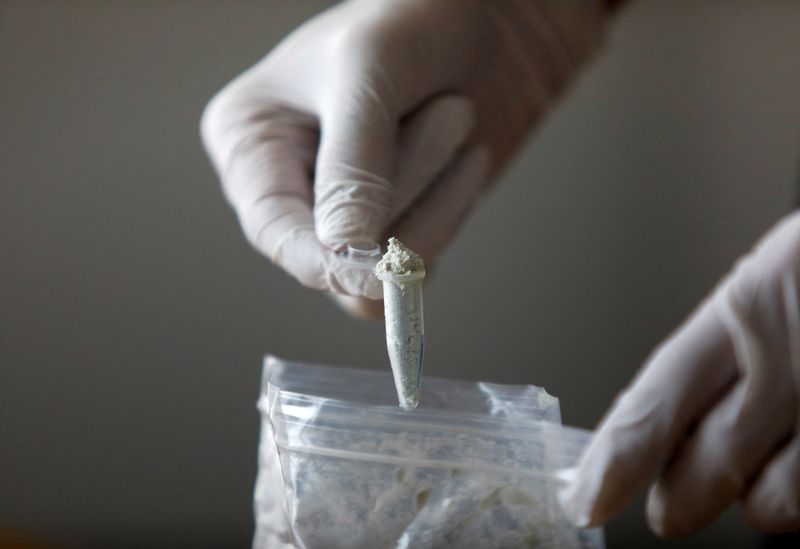 Trump's Canada, Mexico, China tariffs suspend loophole behind fentanyl shipments