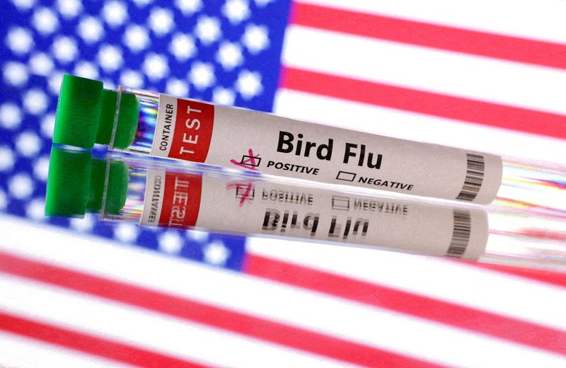 USDA detects a second bird flu strain in dairy cattle, agency email says