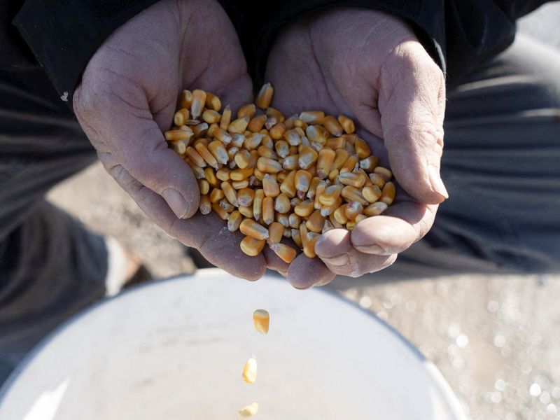 Vietnam says ready to import more US farm goods as trade risks rise