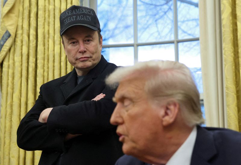 US judges bar Musk's DOGE from Treasury, allow access to health, labor