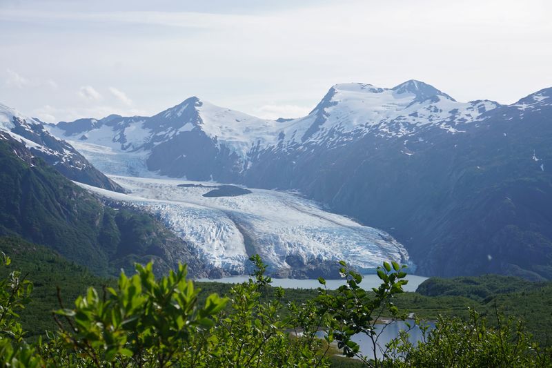 US research official departs as Trump overhauls Arctic policy