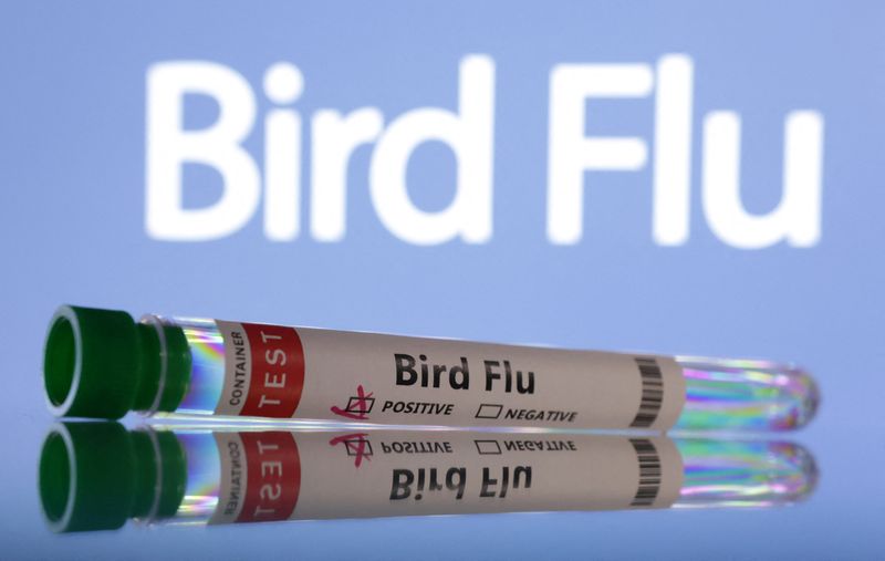Washington State resident dies in first confirmed H5N5 bird flu case, health department says