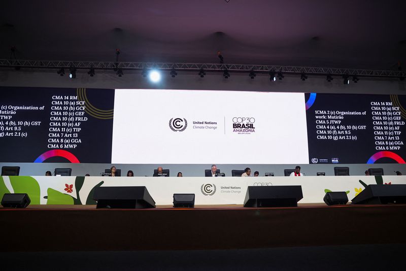 Analysis-What the COP30 climate summit in the Amazon delivered for forests and Indigenous people