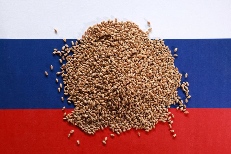 US owner of major Russian agriculture firm says no plans to sell up