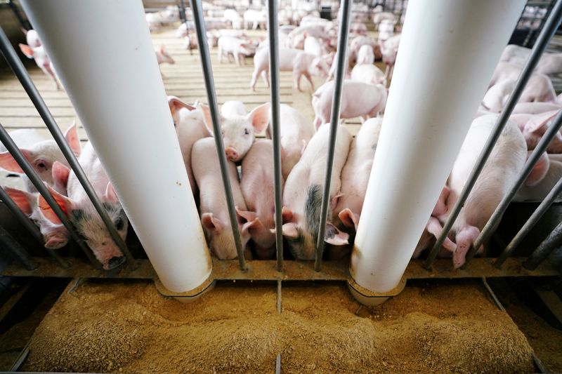 Mexico opens trade investigations into some US pork imports