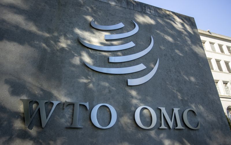 WTO chair rules out reform deal at next major meeting, document shows