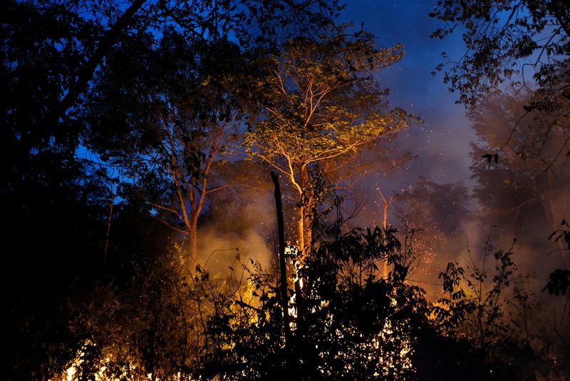 Exclusive-Soy trading firms to abandon Amazon protection pact in Brazil