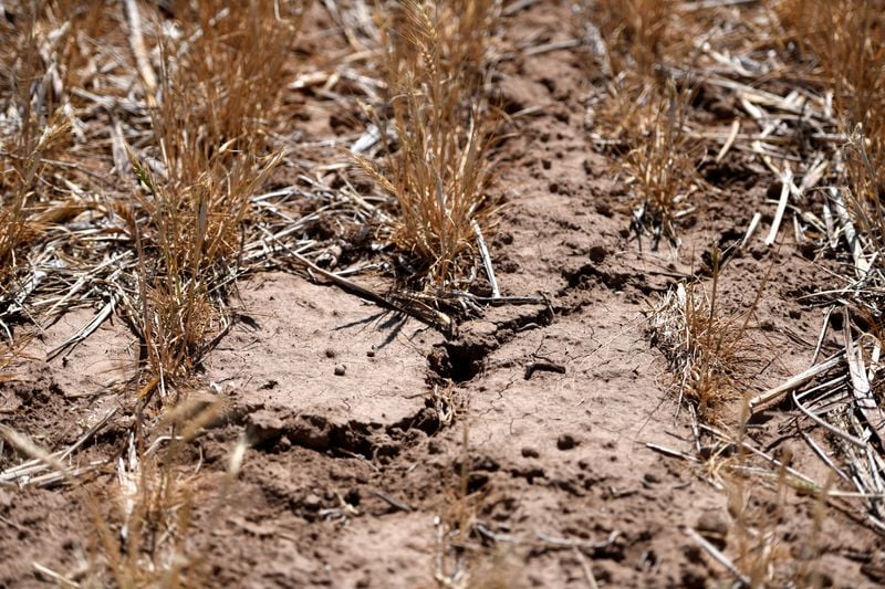 ’Am I out?’ Drought and rising costs from Iran war deepen pain for US farmers