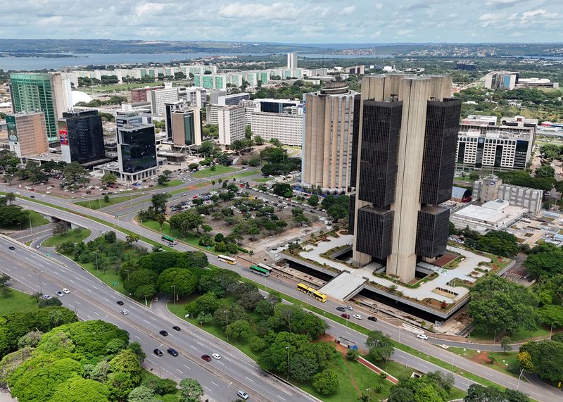 Brazil's gross debt rises less than expected in 2024, aided by foreign reserves sale