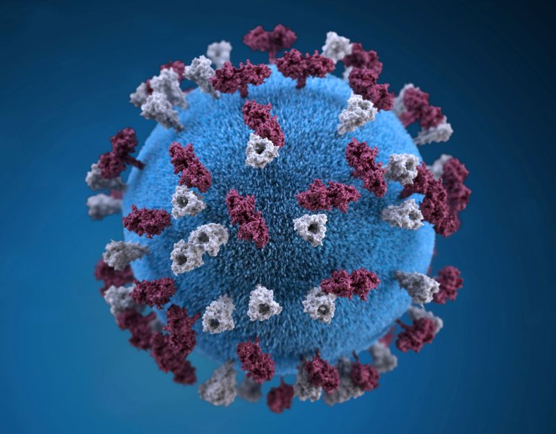 US CDC reports five-fold increase in measles cases from last week