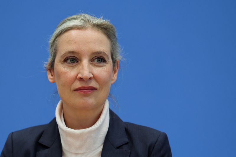 Germany's Merz will push up debt with help of left, says AfD leader