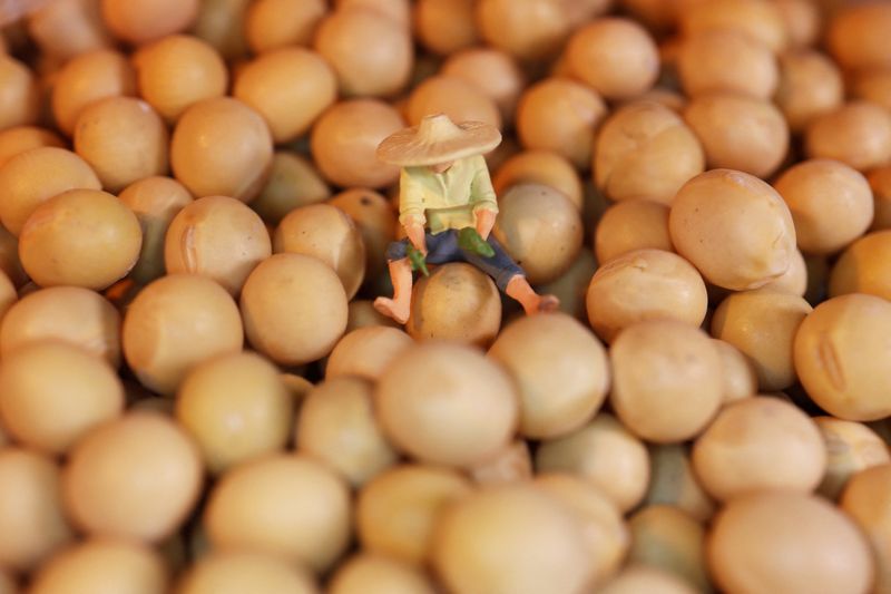 China hits US soybean firms, halts log imports as it steps up retaliation against Trump tariffs