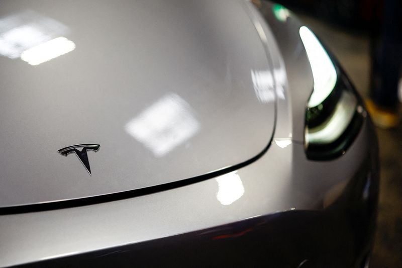 Musk says impact of auto tariffs on Tesla is 'significant'