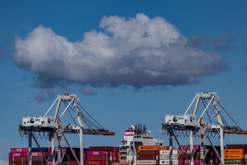 Trump aides weigh 20% tariffs as nervous world awaits trade war