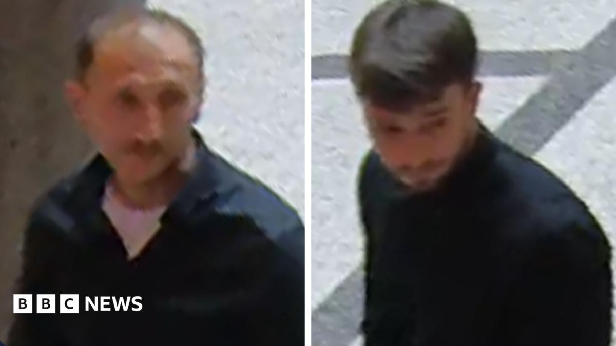 Thieves steal 600-diamond necklace from Vienna museum in broad daylight