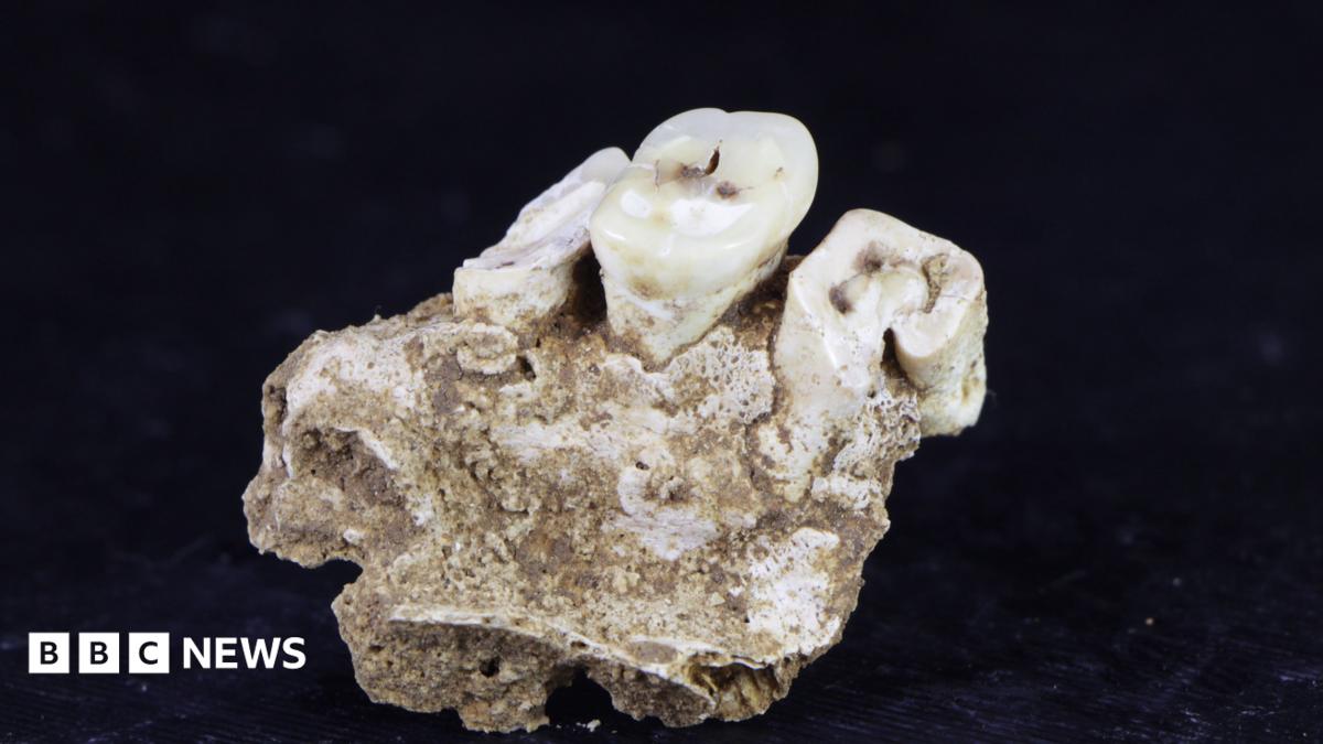 Drug use may have begun 25,000 years ago in Indonesia, research finds