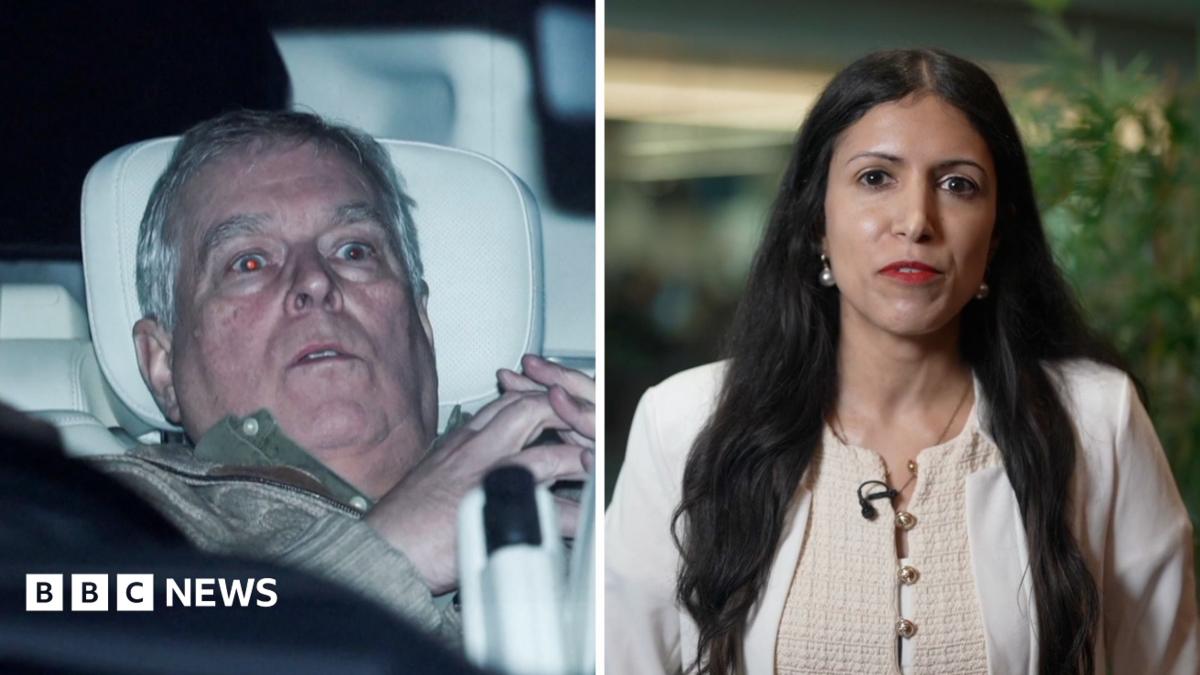 What we know about former Prince Andrew's legal action against police