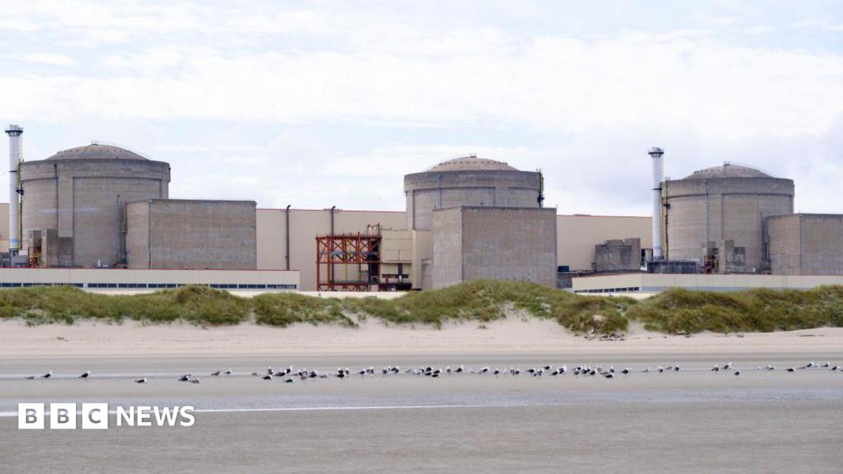 Jellyfish force partial shutdown of French nuclear plant