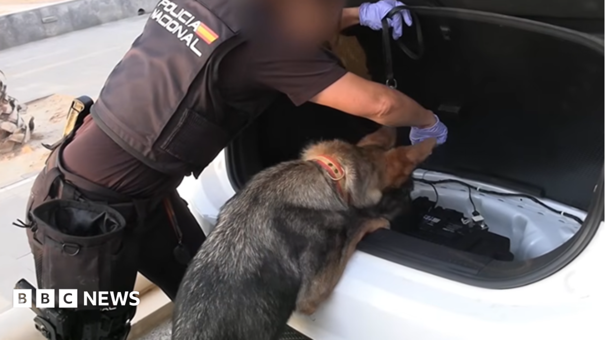 Spanish police arrest 78 people in bust of 'one of largest' smuggling networks