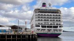 Search for cruise ship passenger feared to have fallen overboard