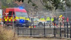 Three teenagers die after car enters river