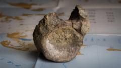 First dinosaur bone from Antarctica found in a drawer