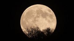 Five night sky events to look out for this autumn