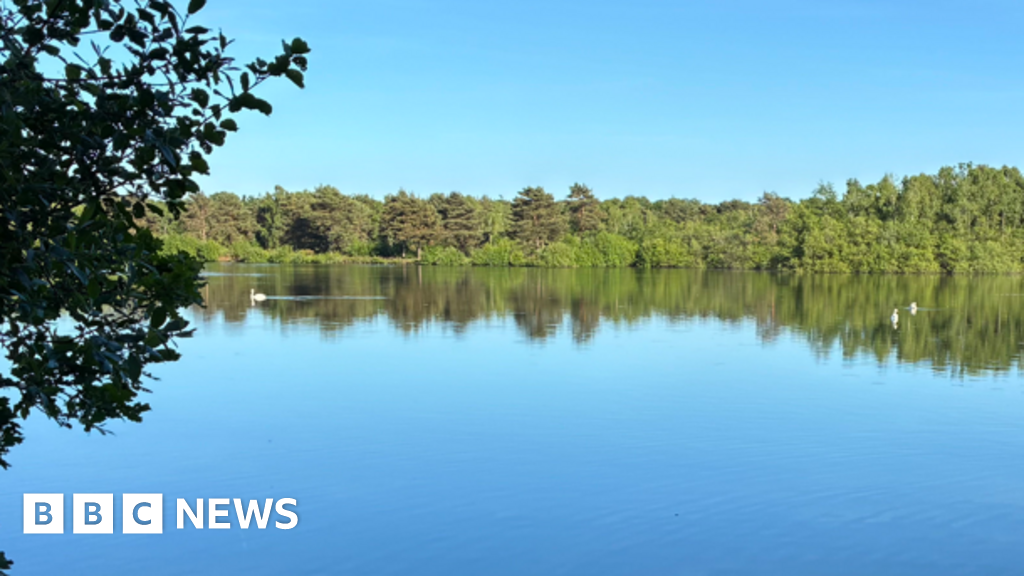 Body found after boy, 15, went missing in nature reserve lake
