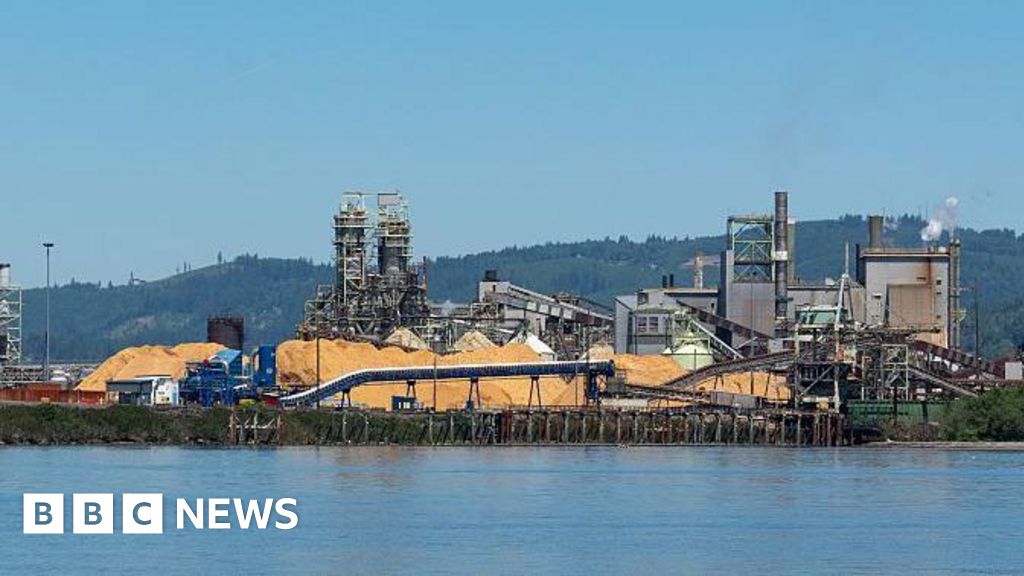 One killed and others missing after chemical explosion at US paper mill