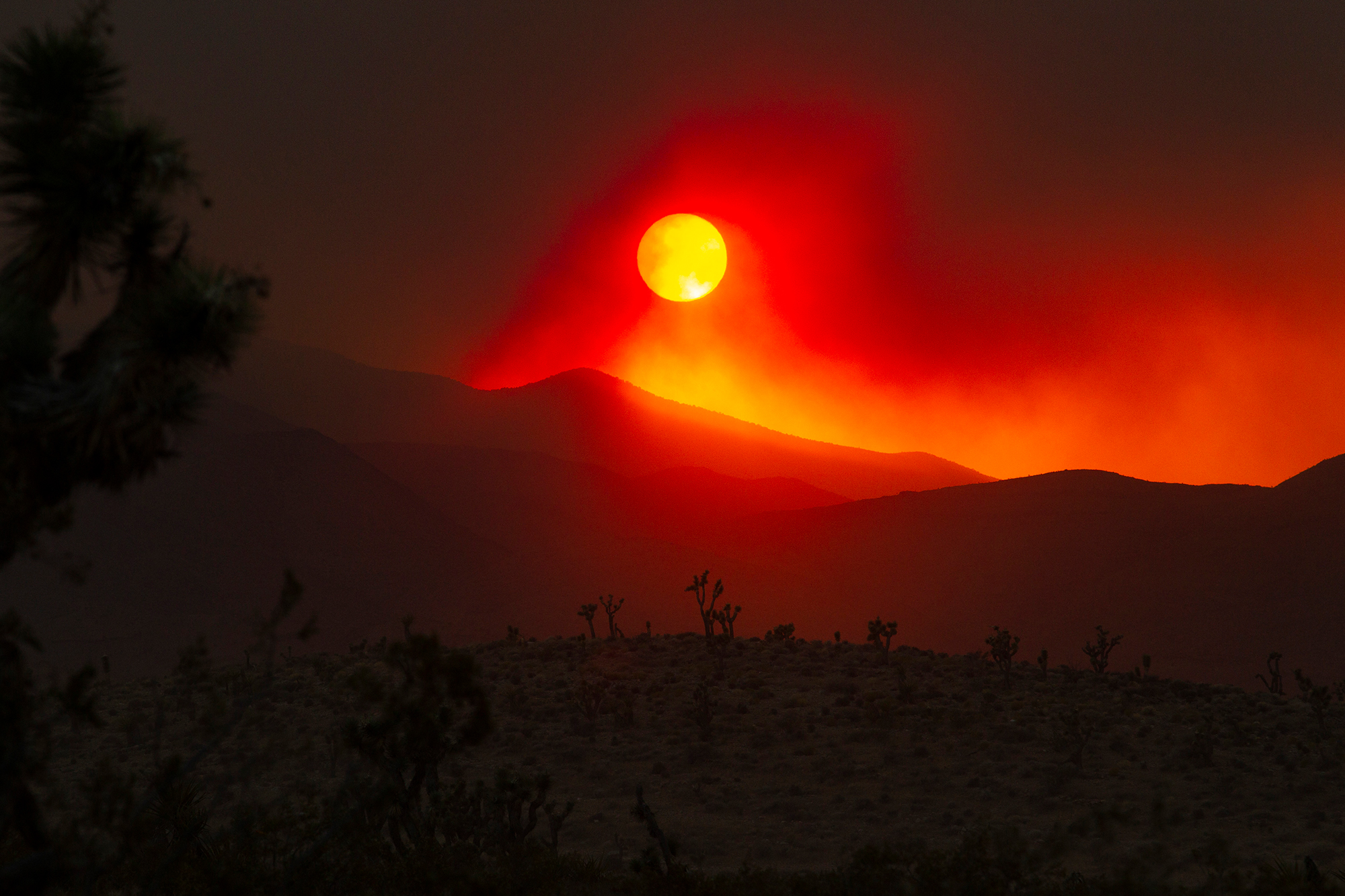 Nevada’s wildfire season looks poised to arrive earlier and hit harder