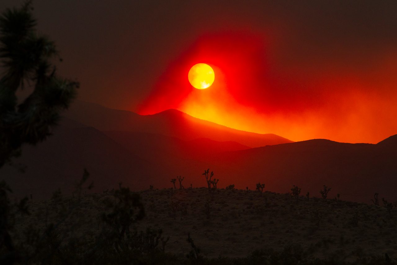 Nevada’s wildfire season looks poised to arrive earlier and hit harder