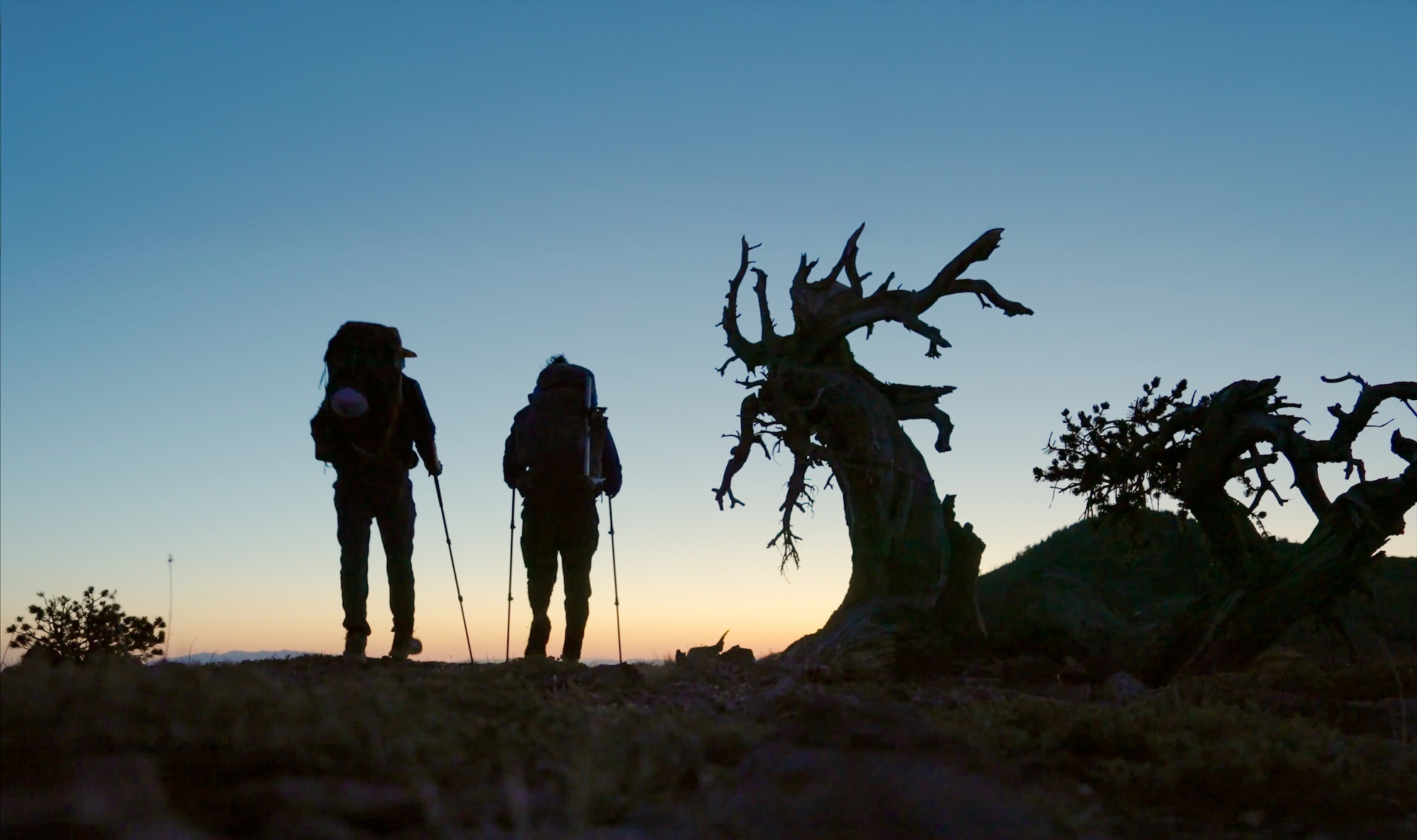 Why you need to check out local environmental film 'The Great Depletion'