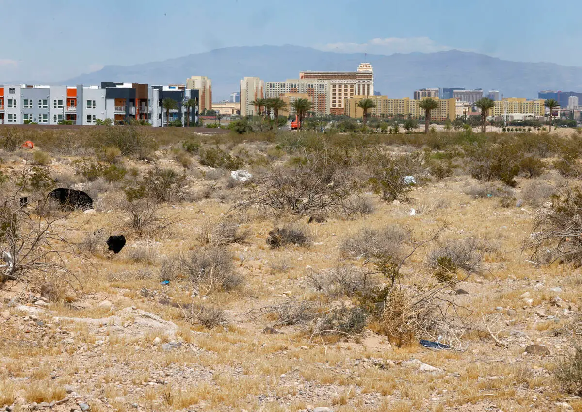 Las Vegas NBA expansion attracts ownership groups; possible arena sites emerge