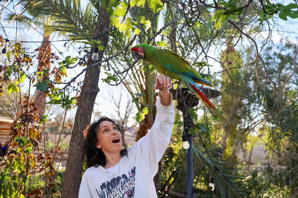 After losing appeal, Heidi Fleiss calls county’s rules for pet birds ‘archaic’