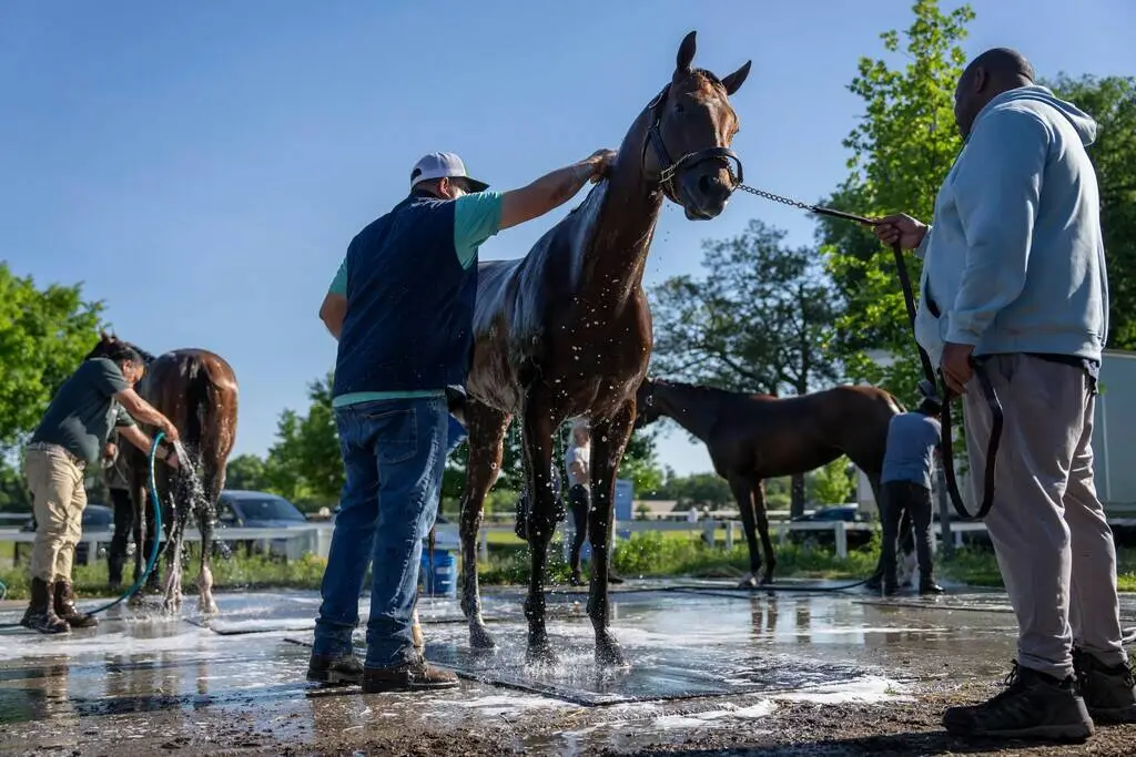 Forget the Derby, Belmont field looks different at same length