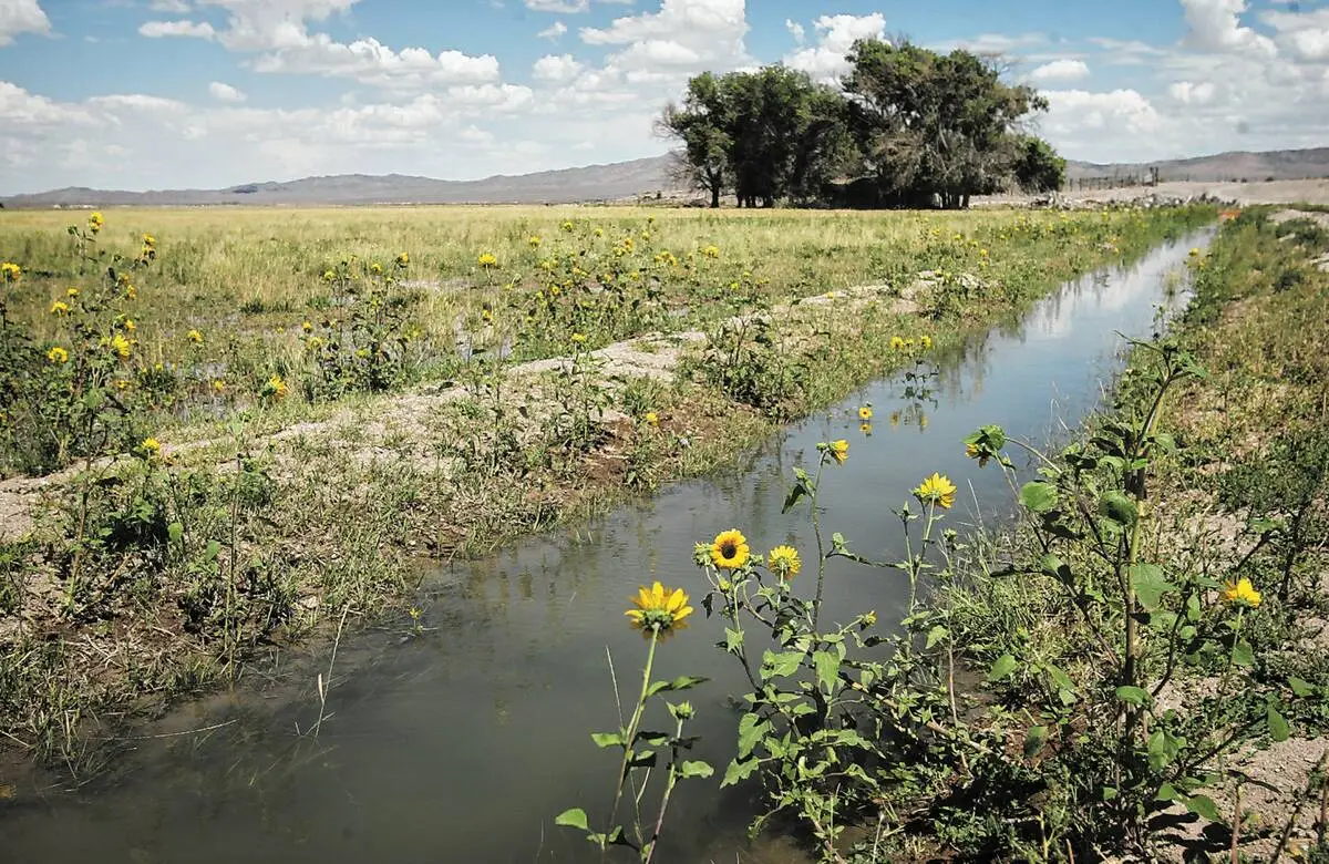 LETTER: Growing crops in the desert