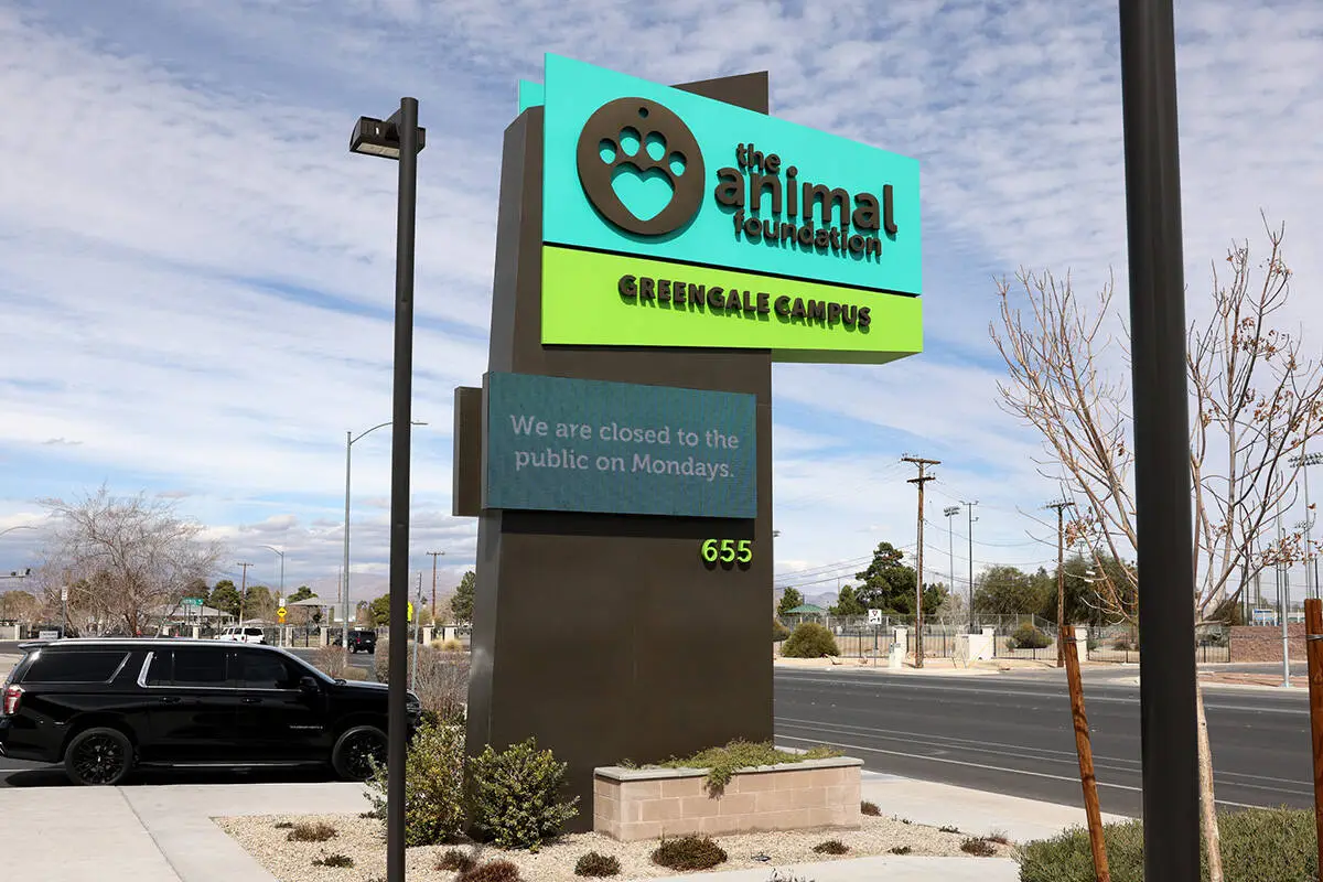 91 lost pets taken in by Las Vegas animal shelter over 4th of July weekend