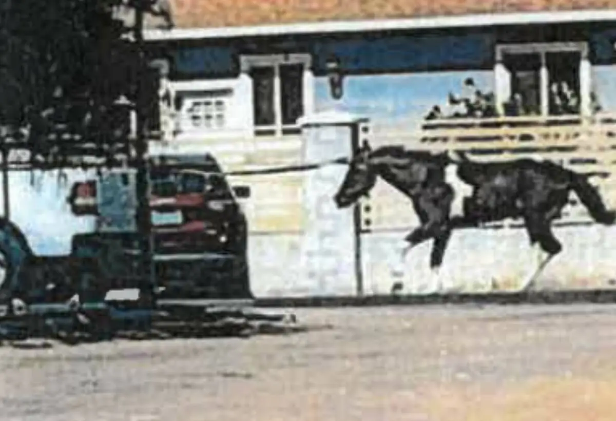Man left his horse dead in front of east Las Vegas house, police say