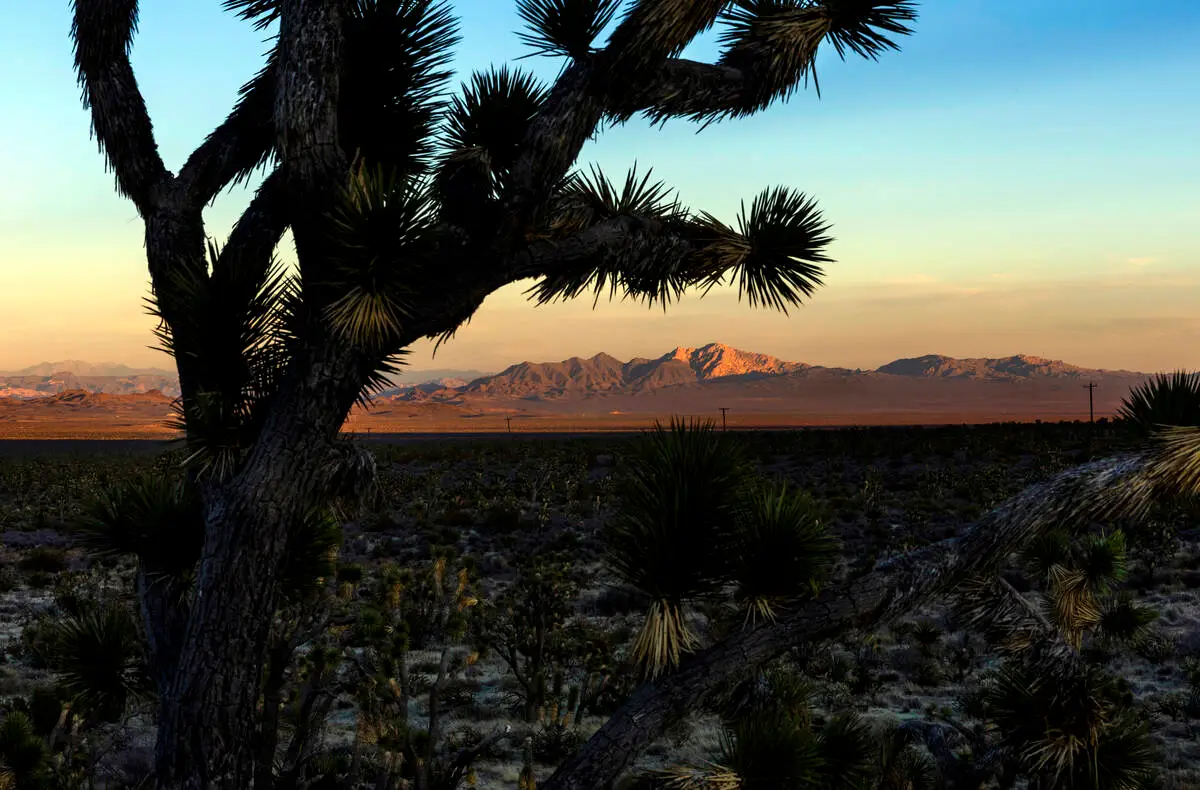 Trump renews monument wars, putting some Nevadans on high alert