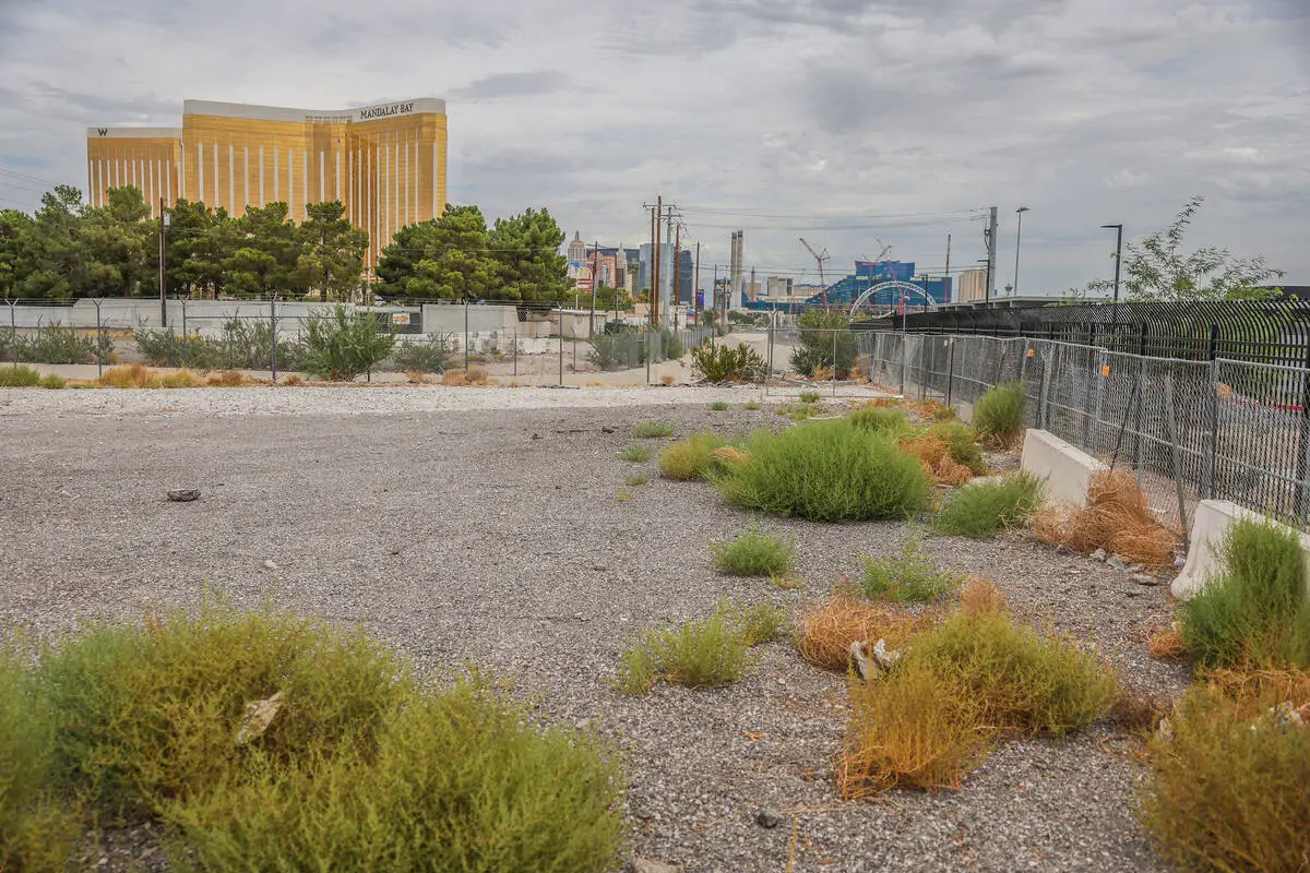Top Gun-themed attraction planned for south Strip