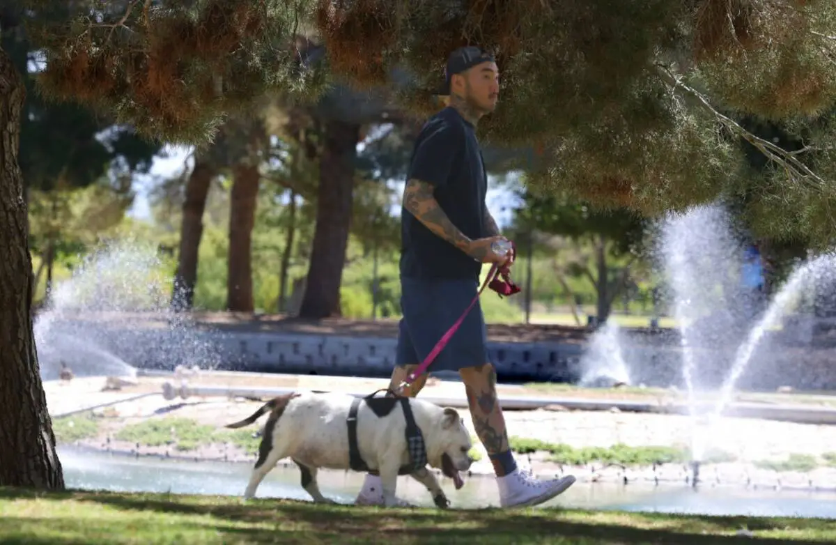 110 all week: Extreme heat returning to Las Vegas Valley