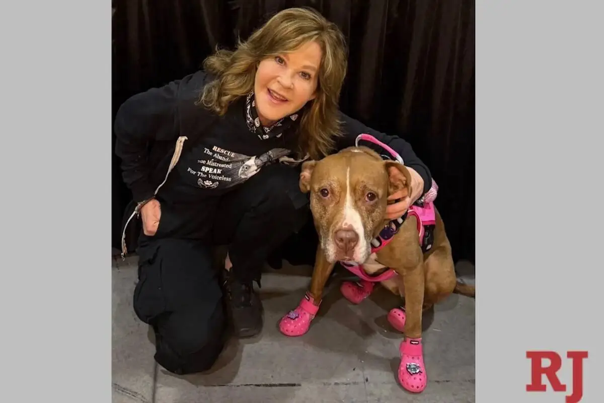 ‘The Exorcist’ actor Linda Blair’s home, dog kennels searched by LA County officials