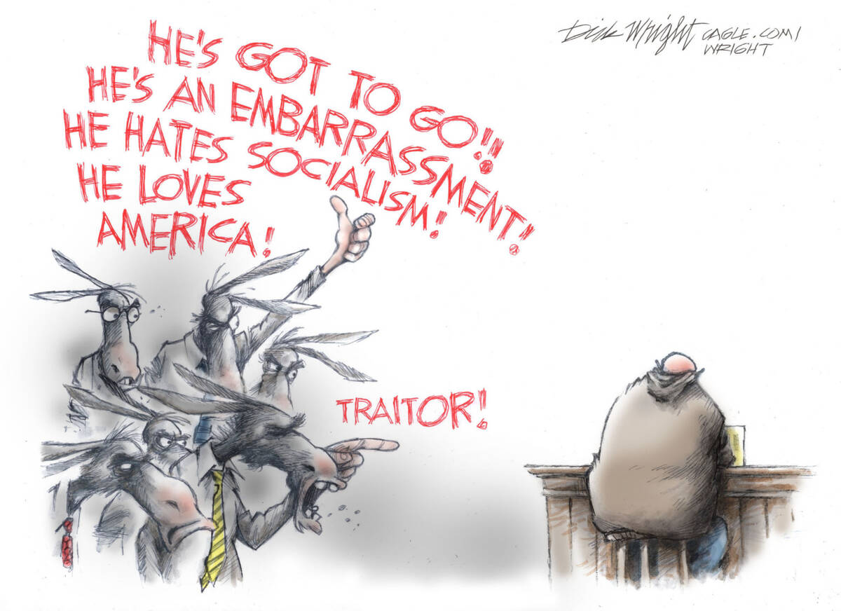 CARTOONS: What makes Democrats really angry