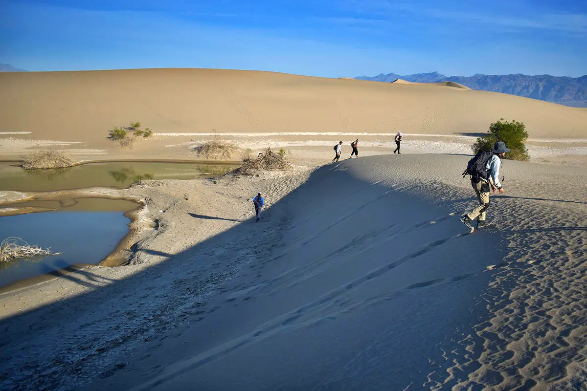 A monster flood hit Death Valley. Dune recovery is erasing the evidence