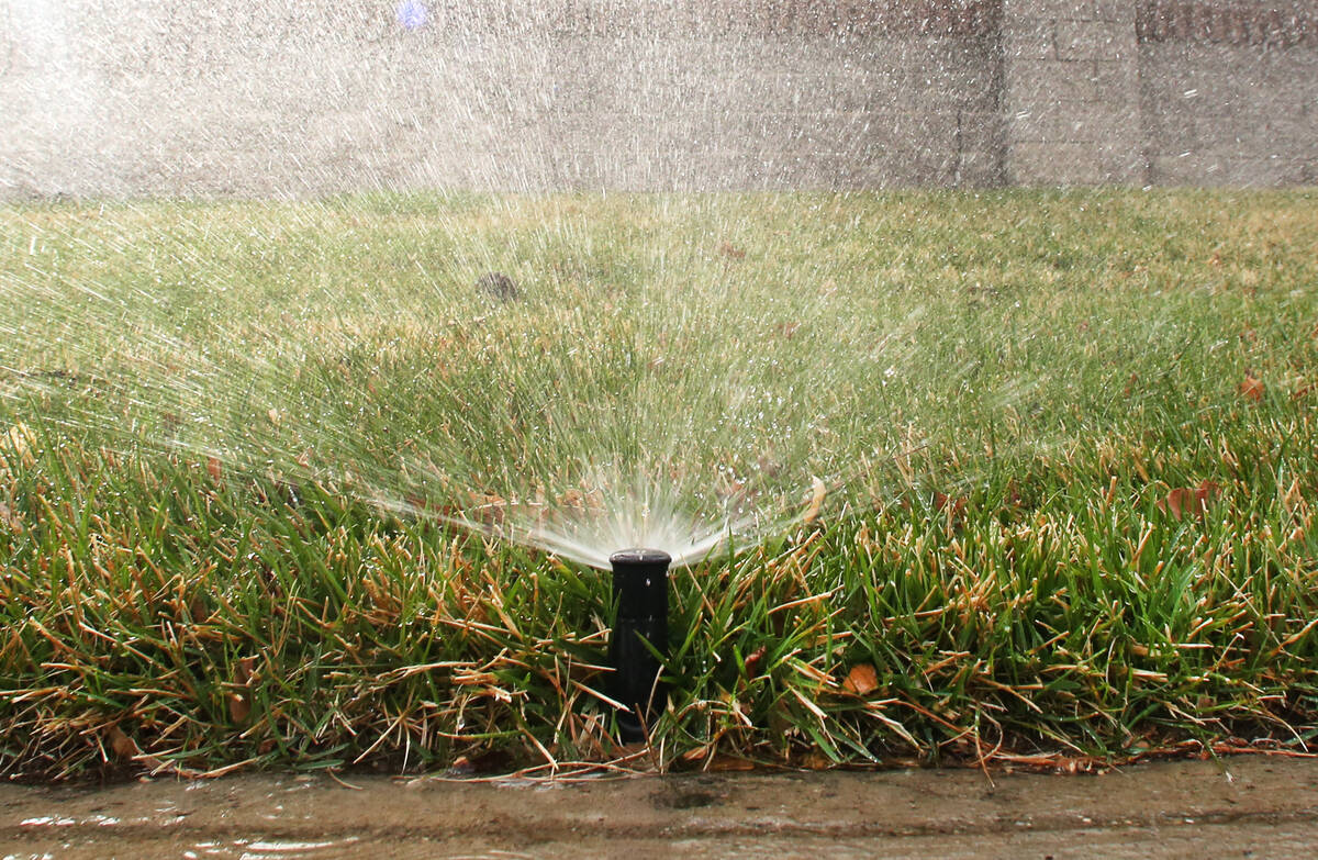 Las Vegas homeowners, HOAs, businesses soon to be fined if they water ‘nonfunctional’ grass
