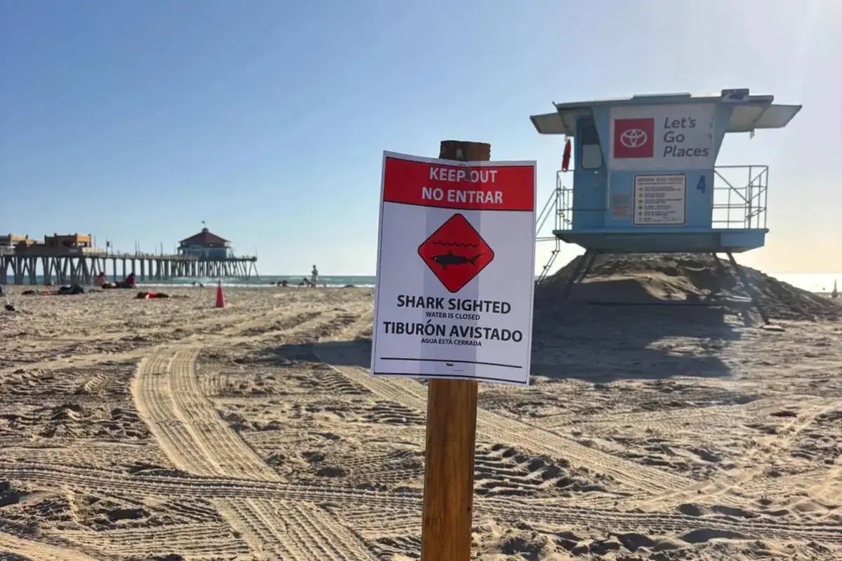 ‘Aggressive’ great white shark seen in waters off Huntington Beach