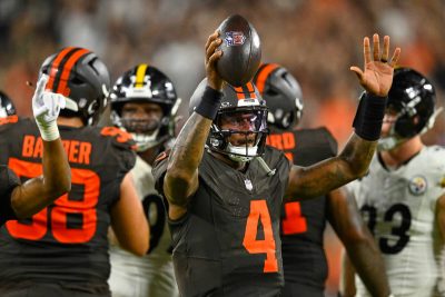 NFL betting: Browns, Bengals, Panthers popular in Circa’s Average Joes contest