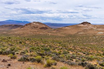 Gold rush in Nye County puts rare Nevada wildlife in the crosshairs, lawsuit says
