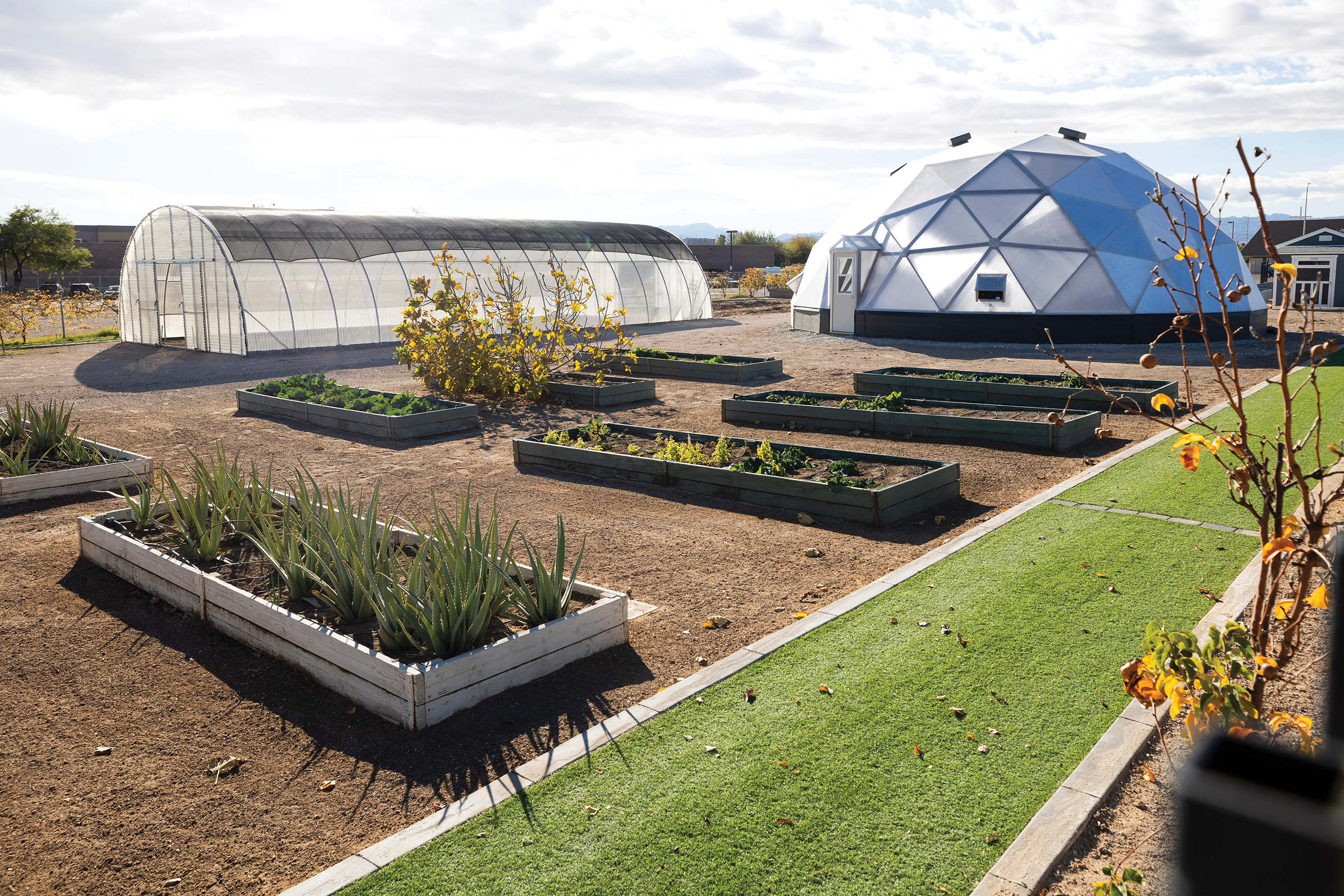 Zion Urban Farm empowers North Las Vegas community to tackle hunger