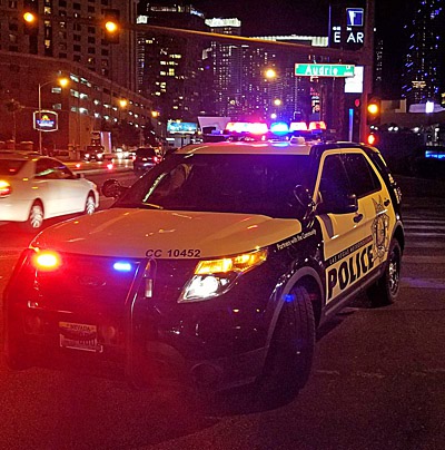Two people face felony counts after 16 dogs found dead at Las Vegas hotel, home